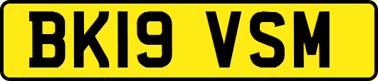 BK19VSM
