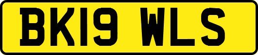 BK19WLS