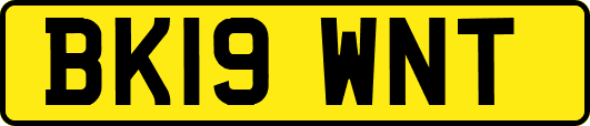 BK19WNT