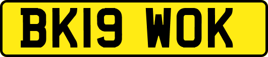 BK19WOK