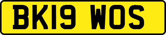 BK19WOS