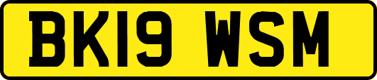 BK19WSM