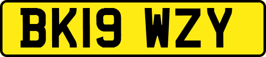 BK19WZY