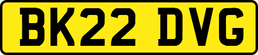 BK22DVG