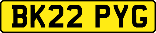 BK22PYG