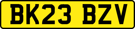 BK23BZV