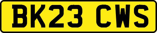BK23CWS