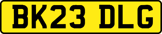 BK23DLG