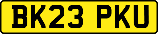 BK23PKU