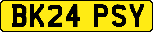 BK24PSY