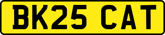 BK25CAT