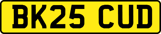 BK25CUD