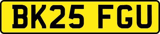 BK25FGU