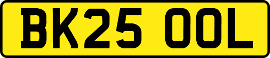 BK25OOL