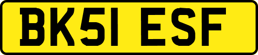 BK51ESF