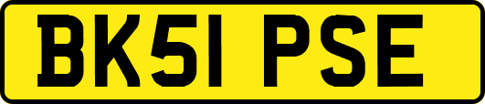 BK51PSE