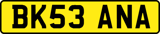 BK53ANA