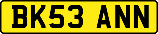 BK53ANN