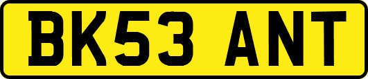 BK53ANT