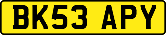 BK53APY