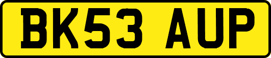 BK53AUP