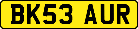 BK53AUR