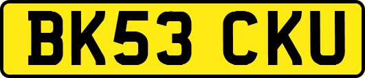 BK53CKU