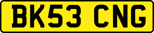 BK53CNG