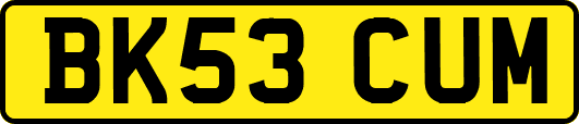 BK53CUM