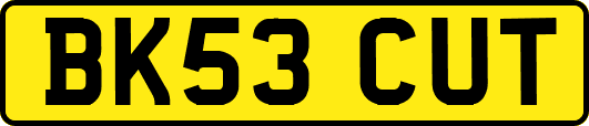 BK53CUT