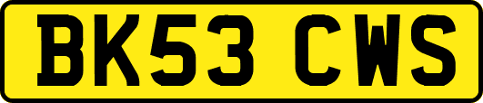 BK53CWS