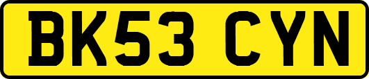 BK53CYN