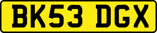 BK53DGX