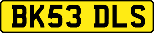 BK53DLS