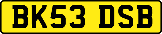 BK53DSB