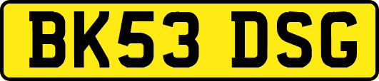 BK53DSG