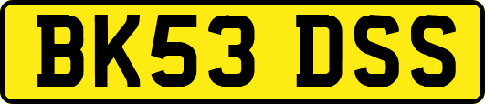 BK53DSS