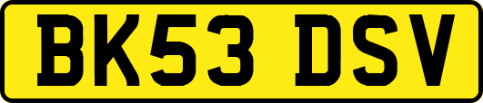 BK53DSV