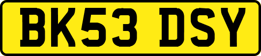 BK53DSY
