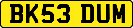 BK53DUM