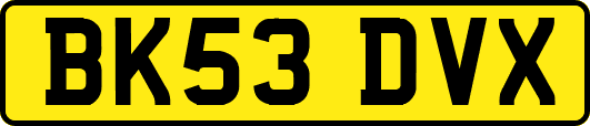 BK53DVX