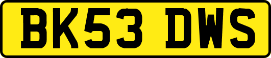 BK53DWS