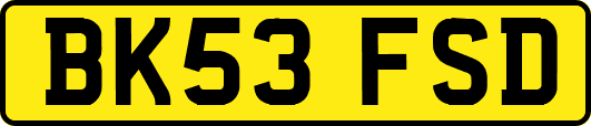 BK53FSD