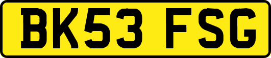 BK53FSG