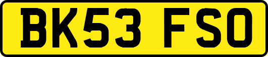 BK53FSO