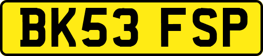 BK53FSP