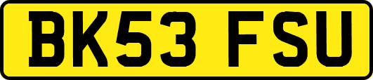 BK53FSU