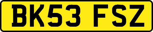 BK53FSZ