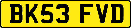 BK53FVD