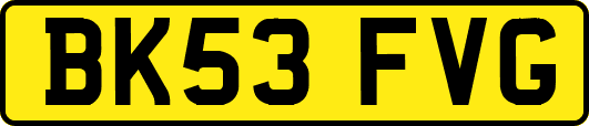 BK53FVG